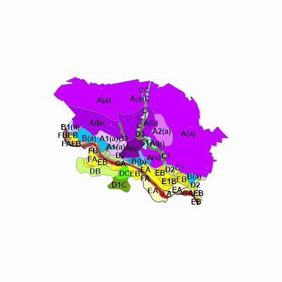 Export Image
